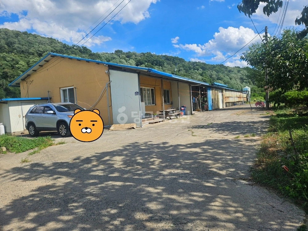 경상북도 영천시 북안면 단독/전원주택 사진 1