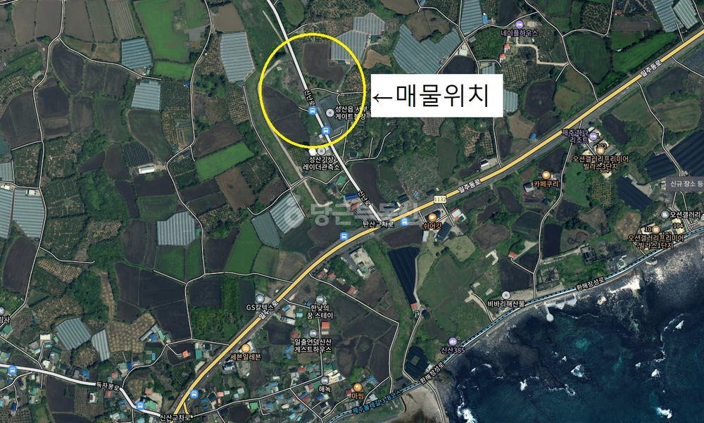 제주특별자치도 서귀포시 성산읍 토지 사진 1