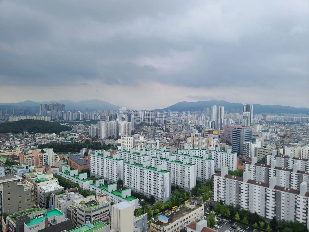 대전광역시 서구 탄방동 오피스텔 사진 1