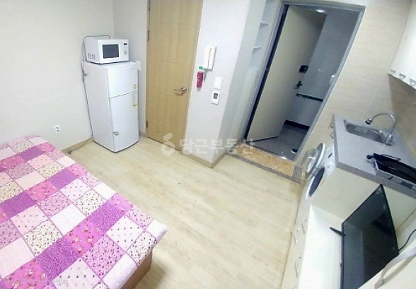 울산광역시 남구 신정동 원룸 사진 1