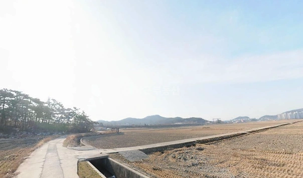 전남광주통합특별시 영암군 삼호읍 토지 사진 1