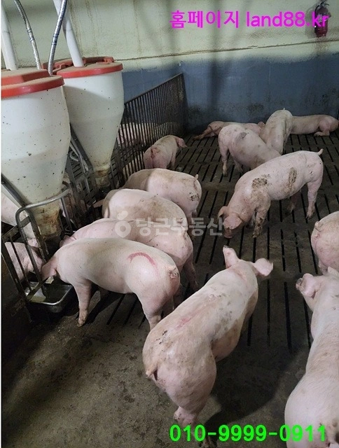 전남광주통합특별시 화순군 화순읍 건물 사진 1
