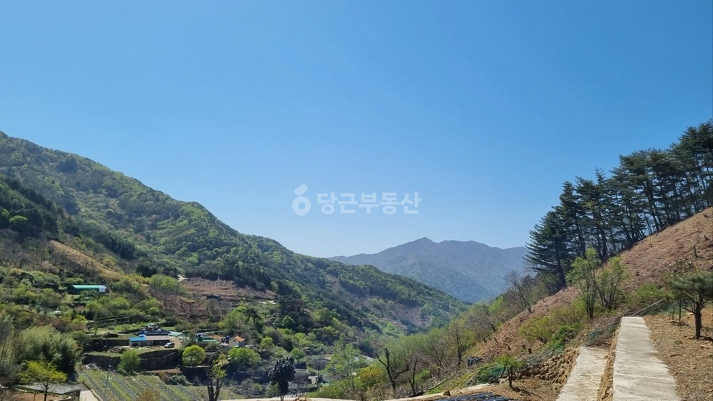 경상남도 하동군 화개면 토지 사진 1