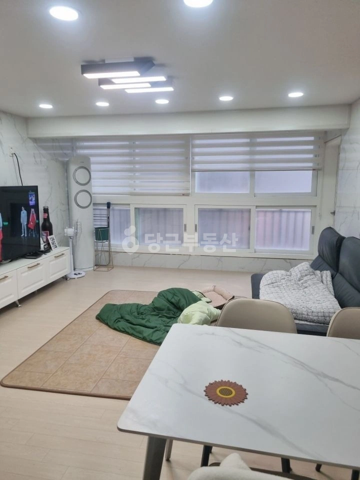 제주특별자치도 제주시 봉개동 빌라(투룸 이상) 사진 1