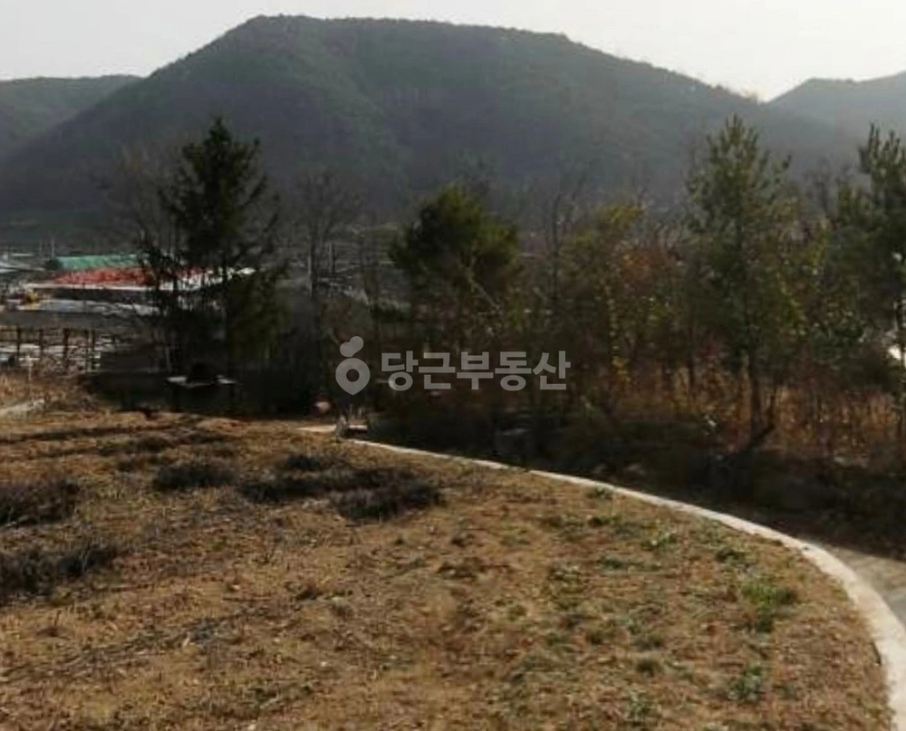 경상북도 의성군 의성읍 토지 사진 1