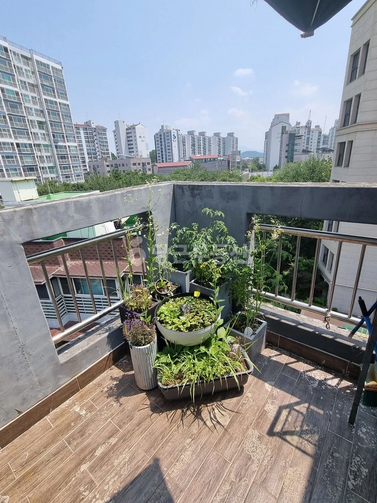 서울특별시 강서구 마곡동 빌라(투룸 이상) 사진 1