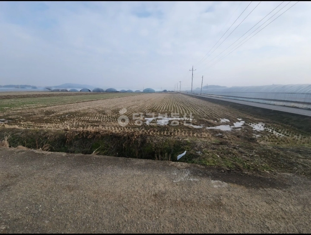 전남광주통합특별시 남구 구소동 토지 사진 1