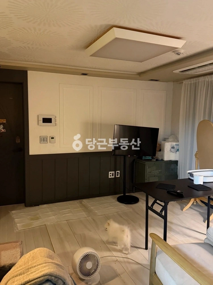 인천광역시 부평구 삼산동 빌라(투룸 이상) 사진 1