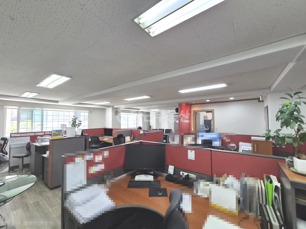 서울특별시 강남구 신사동 사무실 사진 1