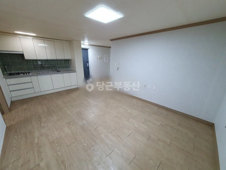 대전광역시 서구 도안동 빌라(투룸 이상) 사진 1