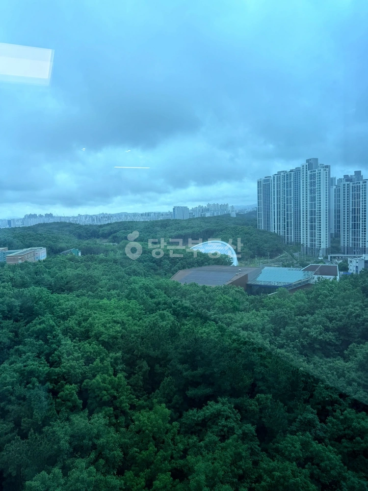경상북도 포항시 북구 양덕동 아파트 사진 1