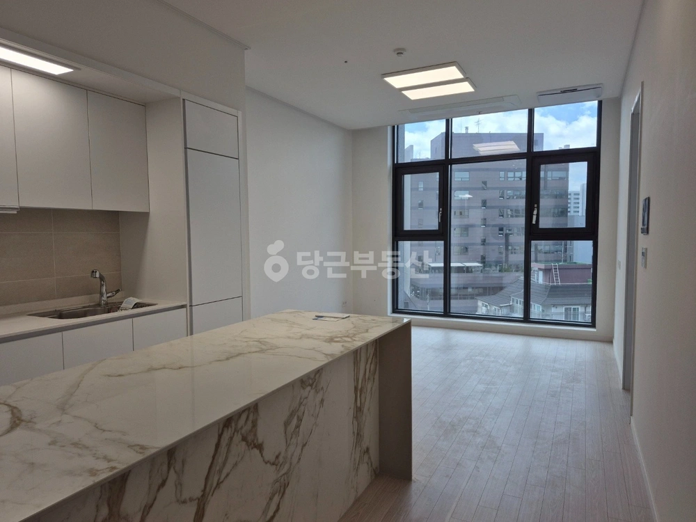 서울특별시 강남구 역삼동 원룸 사진 1