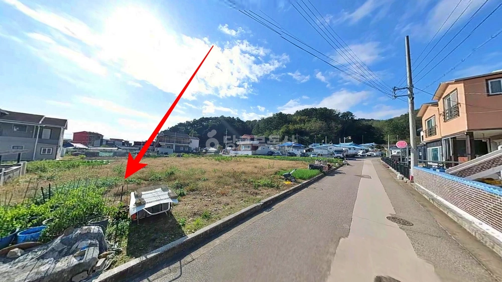 경상북도 영덕군 강구면 토지 사진 1
