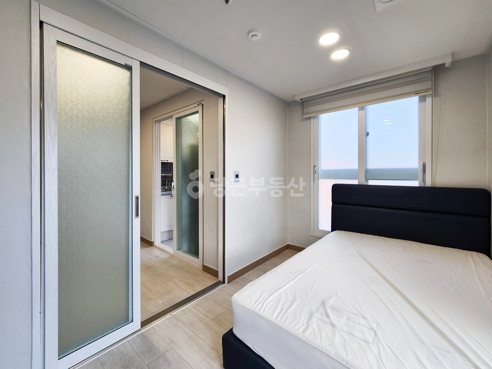 부산광역시 남구 대연동 원룸 사진 1