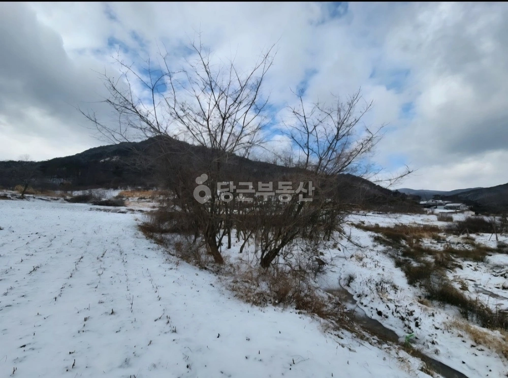 전남광주통합특별시 화순군 사평면 토지 사진 1