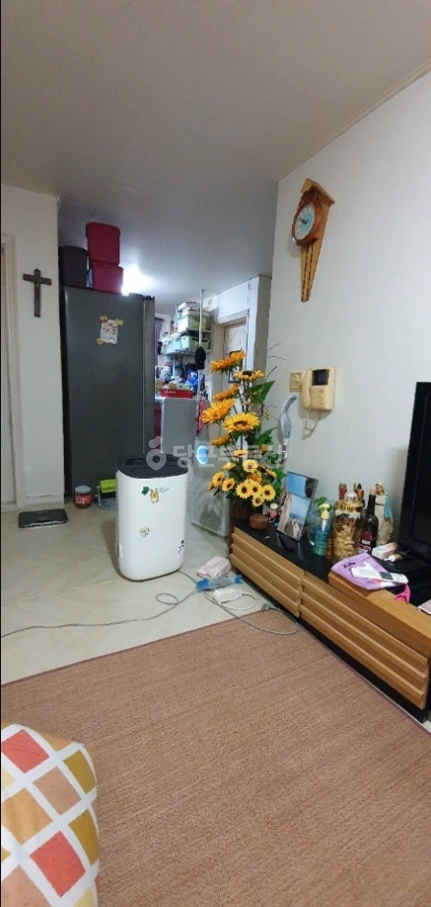 서울특별시 양천구 목동 빌라(투룸 이상) 사진 1