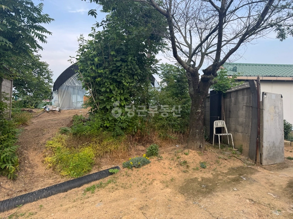 충청남도 아산시 신창면 토지 사진 1