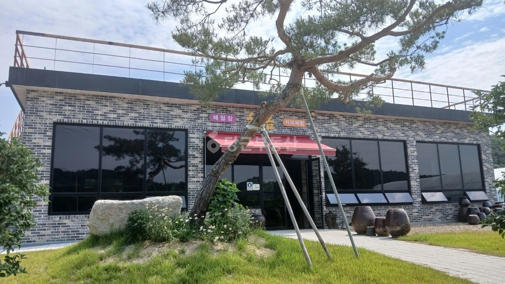 전남광주통합특별시 장성군 황룡면 건물 사진 1