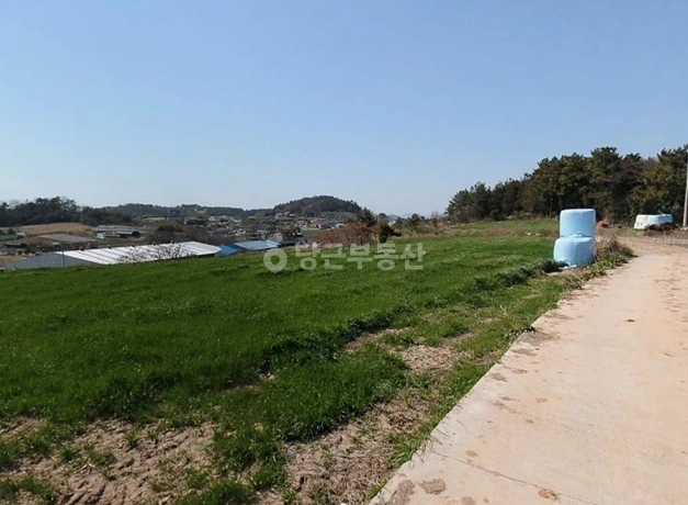 전남광주통합특별시 신안군 압해읍 토지 사진 1