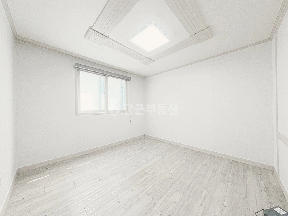 대구광역시 중구 완전동 빌라(투룸 이상) 사진 1