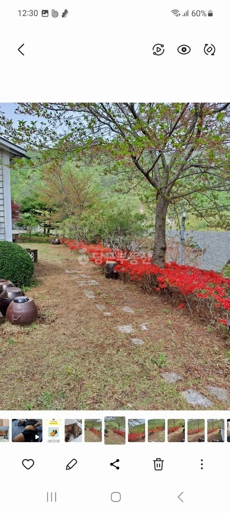 경상남도 양산시 원동면 단독/전원주택 사진 1