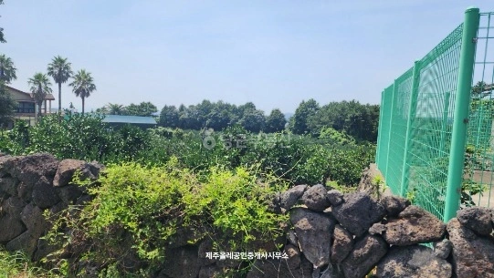 제주특별자치도 서귀포시 상효동 토지 사진 1