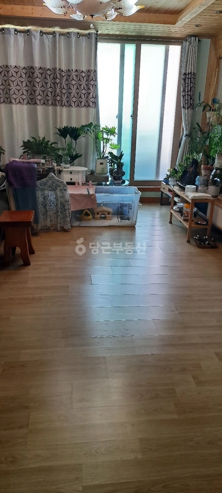 전남광주통합특별시 무안군 삼향읍 단독/전원주택 사진 1
