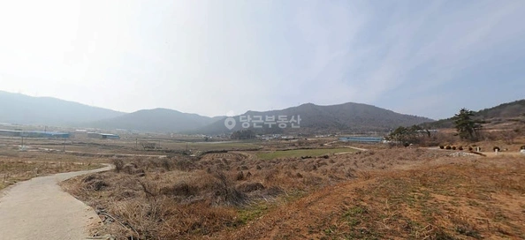 전남광주통합특별시 해남군 화원면 토지 사진 1