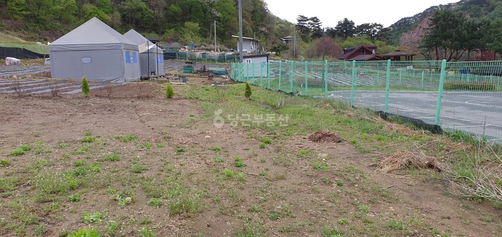 충청북도 제천시 백운면 토지 사진 1