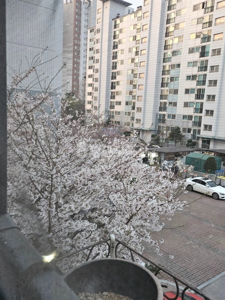 충청남도 당진시 송악읍 아파트 사진 1