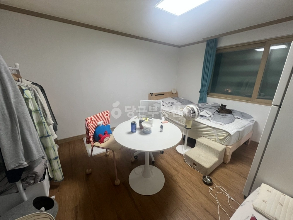 부산광역시 북구 구포동 원룸 사진 1