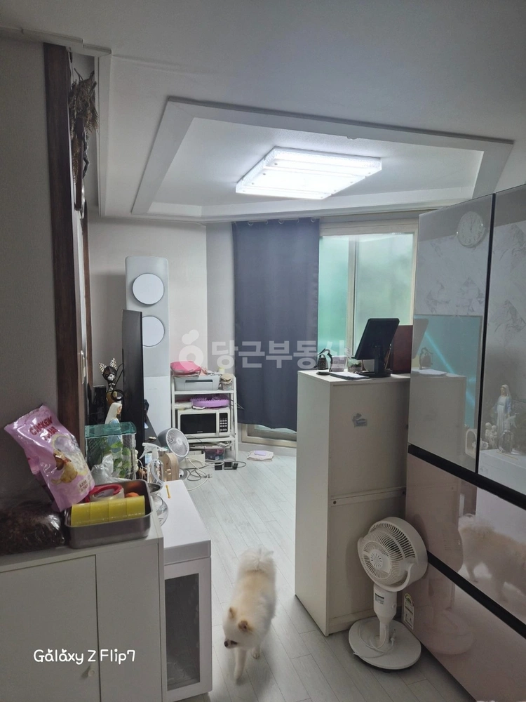 경기도 파주시 파주읍 빌라(투룸 이상) 사진 1