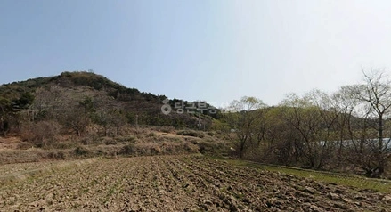 전남광주통합특별시 광산구 선동 토지 사진 1