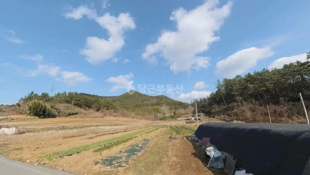 전남광주통합특별시 무안군 삼향읍 토지 사진 1