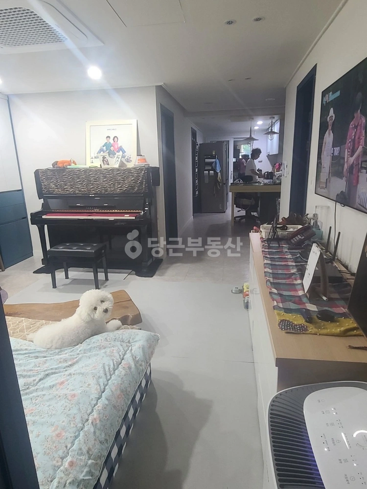 서울특별시 서초구 서초동 빌라(투룸 이상) 사진 1