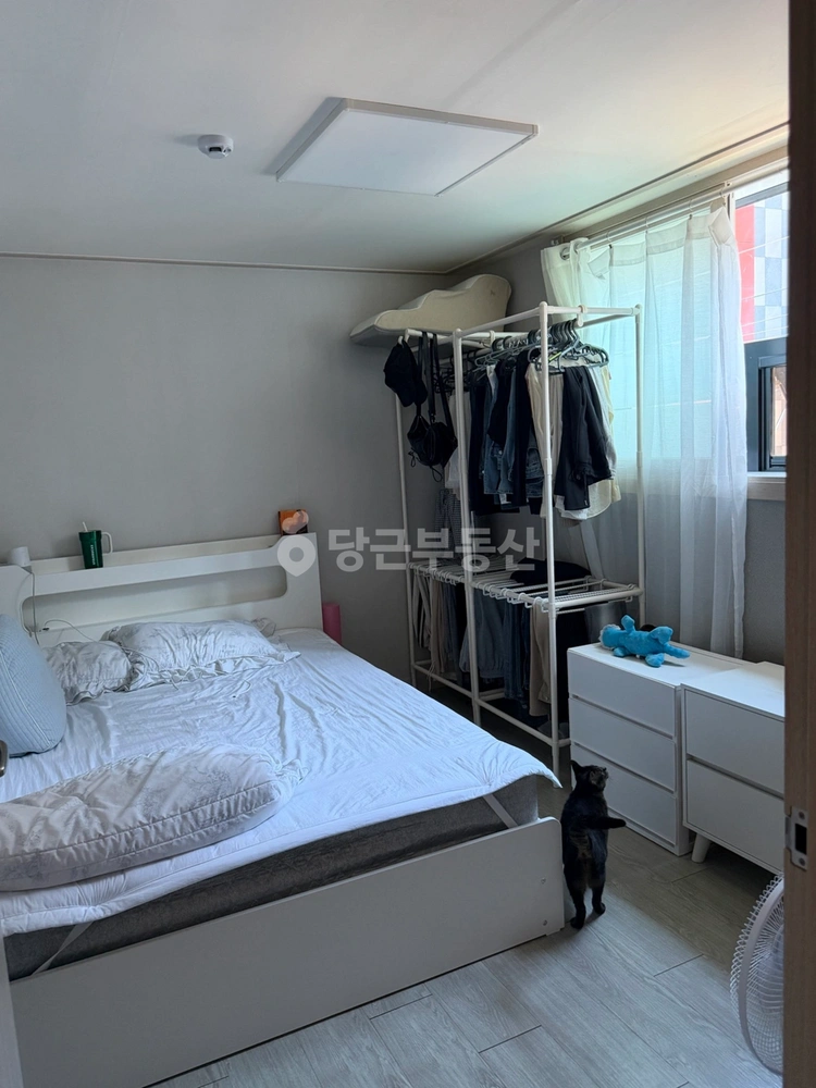 대구광역시 동구 동호동 빌라(투룸 이상) 사진 1