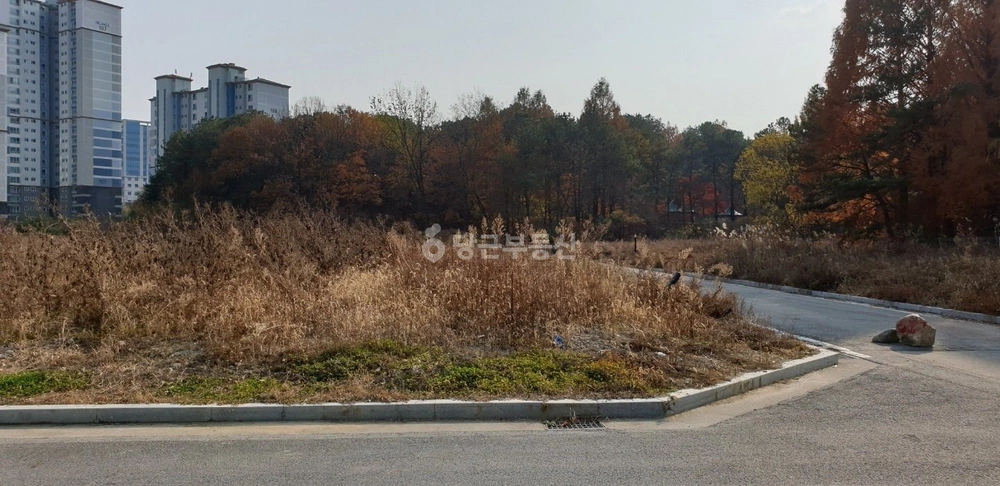 대전광역시 유성구 덕명동 토지 사진 1