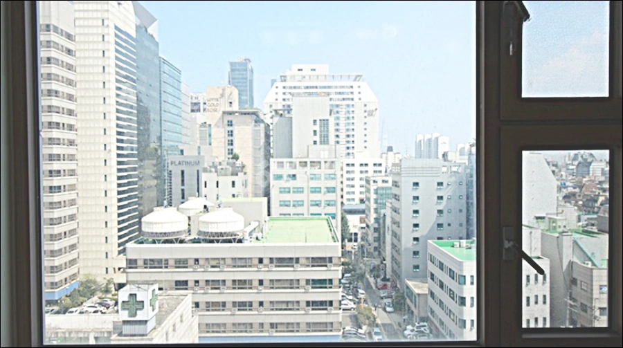 서울특별시 강남구 역삼동 오피스텔 사진 1