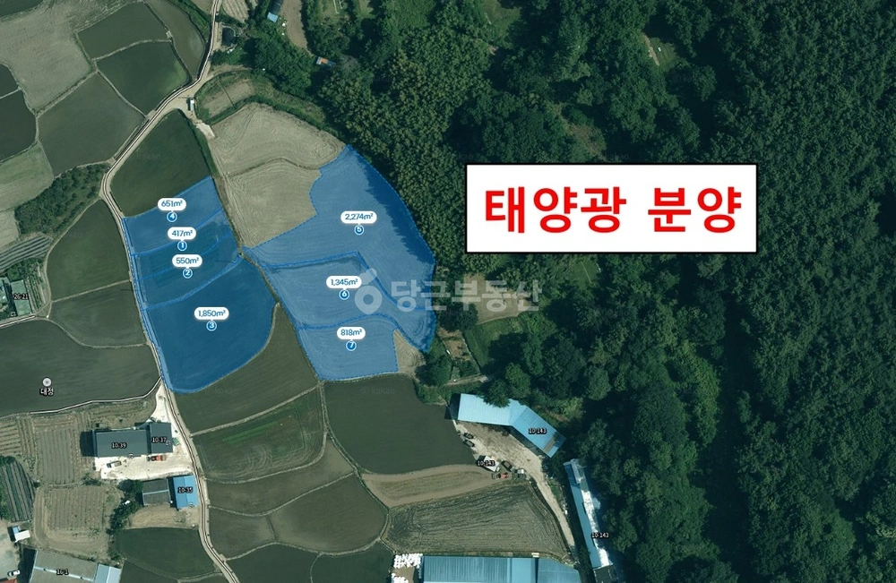 경상남도 창원시 마산합포구 진전면 토지 사진 1