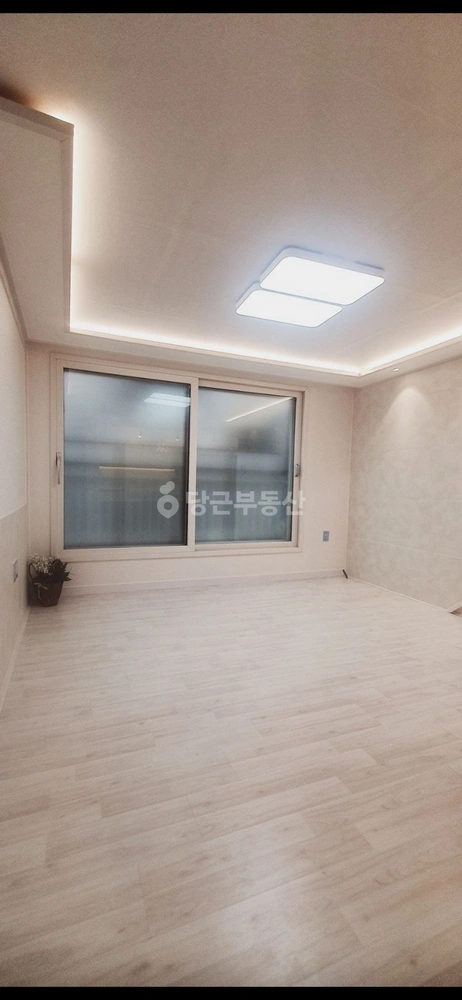 경기도 부천시 오정구 고강동 빌라(투룸 이상) 사진 1