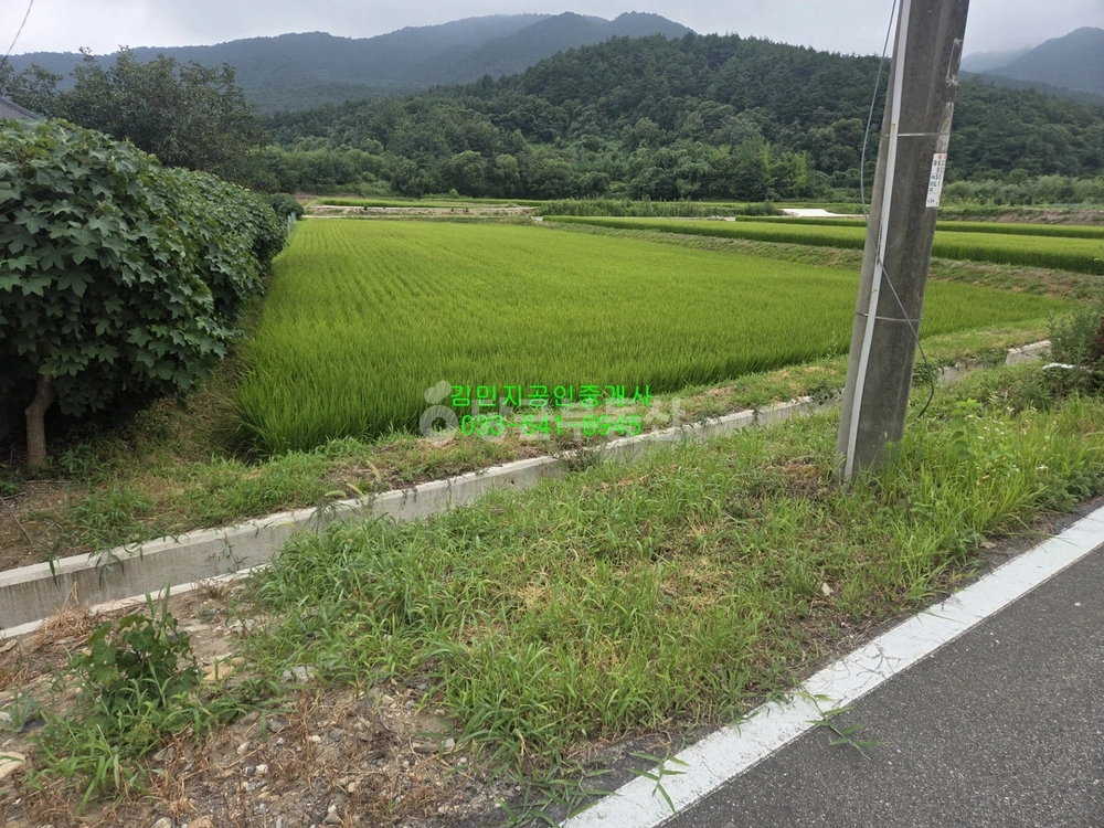 강원특별자치도 강릉시 구정면 토지 사진 1