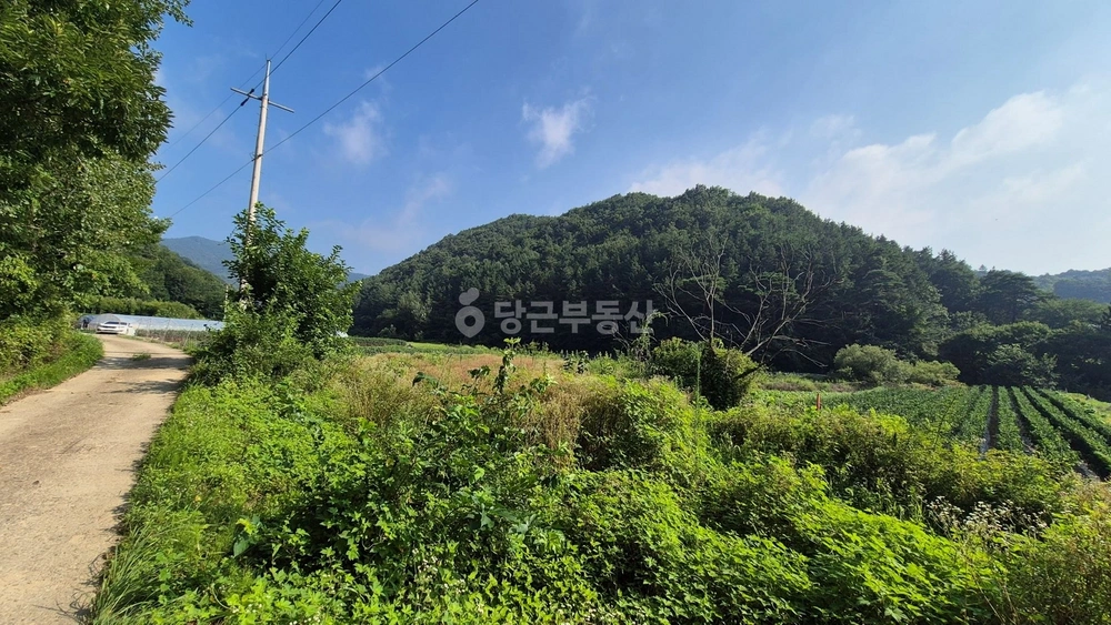 전북특별자치도 진안군 진안읍 토지 사진 1