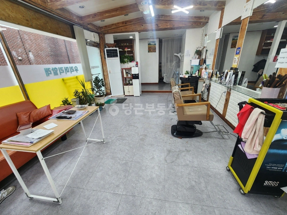 강원특별자치도 속초시 교동 상가 사진 1