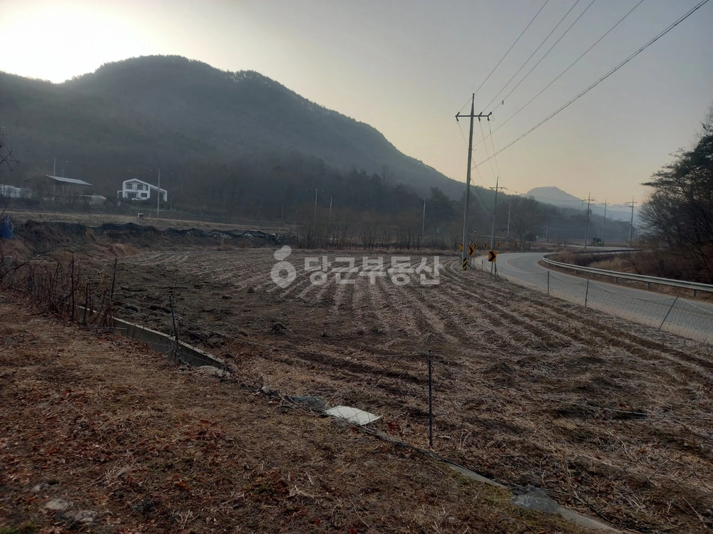 경상북도 문경시 농암면 토지 사진 1