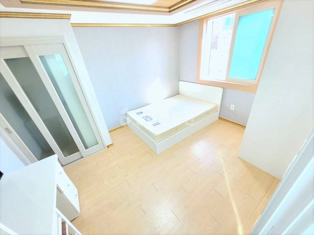 부산광역시 남구 대연동 원룸 사진 1