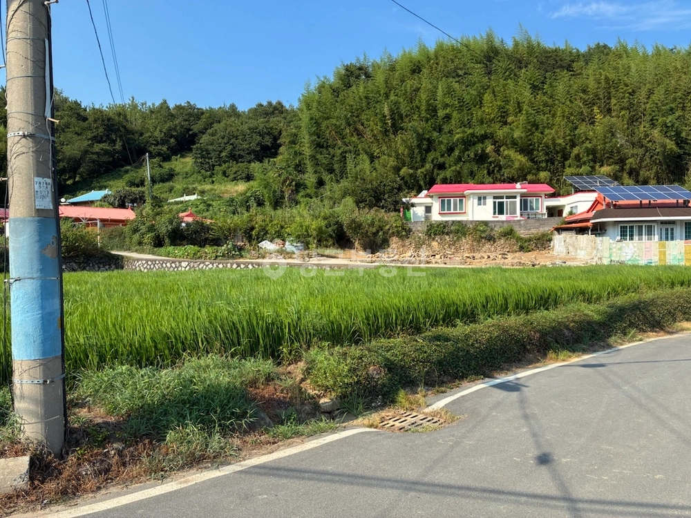 경상남도 거제시 둔덕면 토지 사진 1