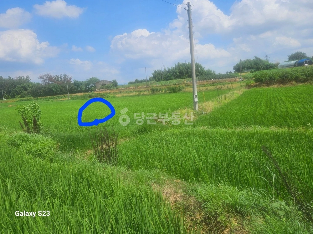 전북특별자치도 익산시 왕궁면 토지 사진 1