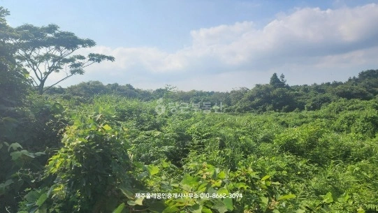 제주특별자치도 서귀포시 표선면 토지 사진 1