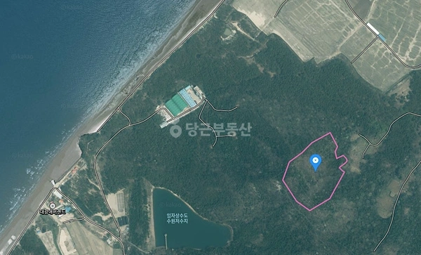 전남광주통합특별시 신안군 임자면 토지 사진 1