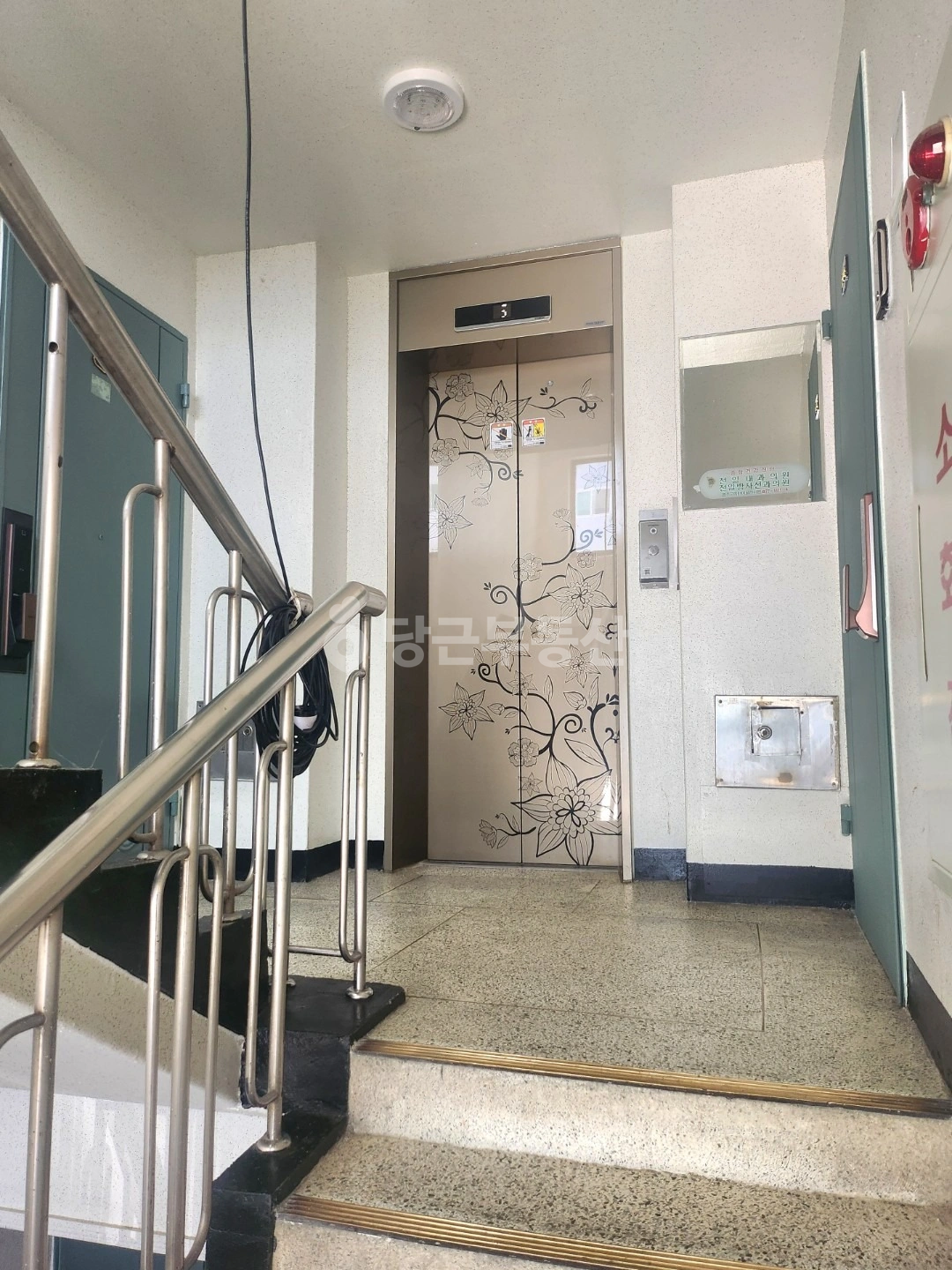 전북특별자치도 전주시 완산구 평화동1가 아파트 사진 1